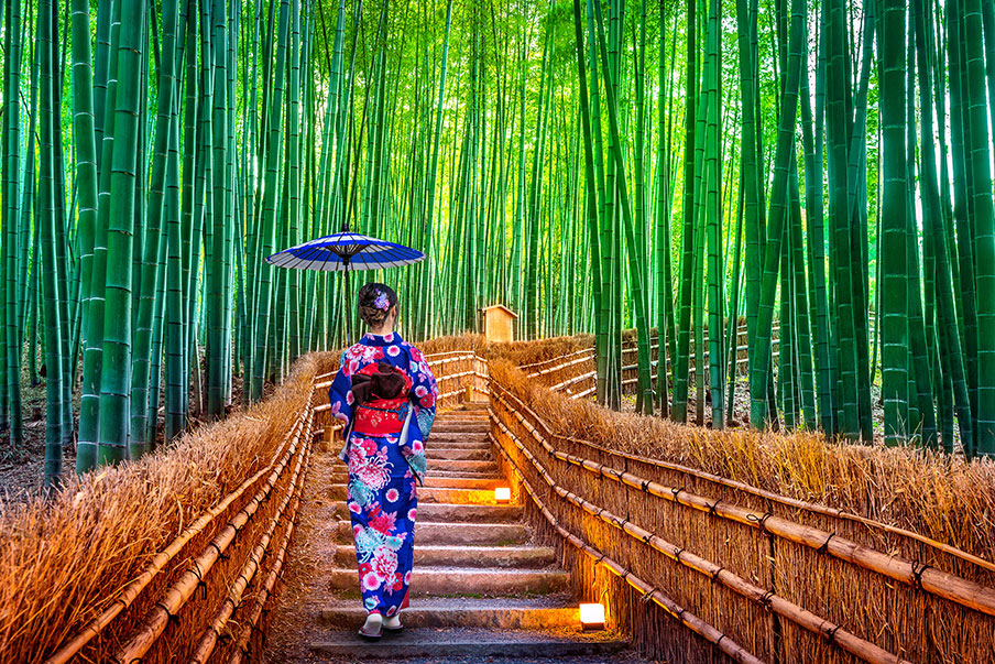 Bamboo Forest